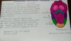 Ми знову є учасниками STEM – тижня 3